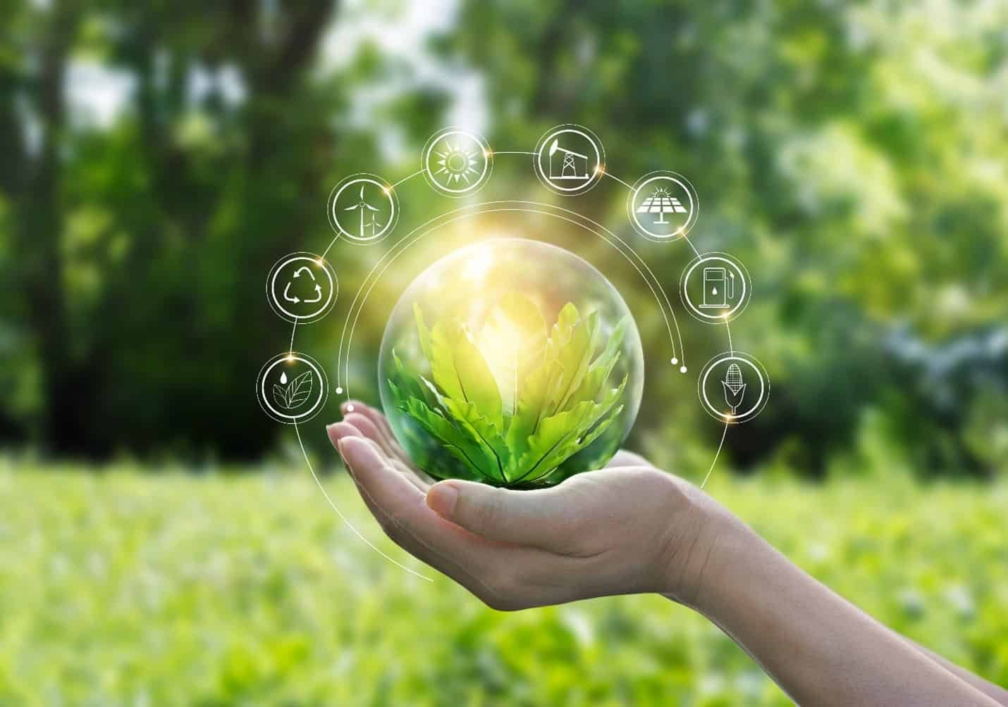 Environmental Consultancy Reporting
