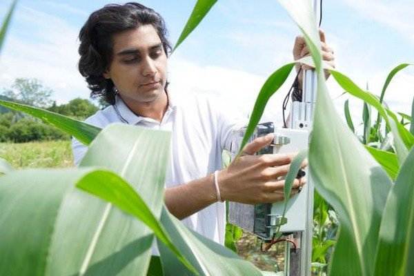 Environmental Data Collection