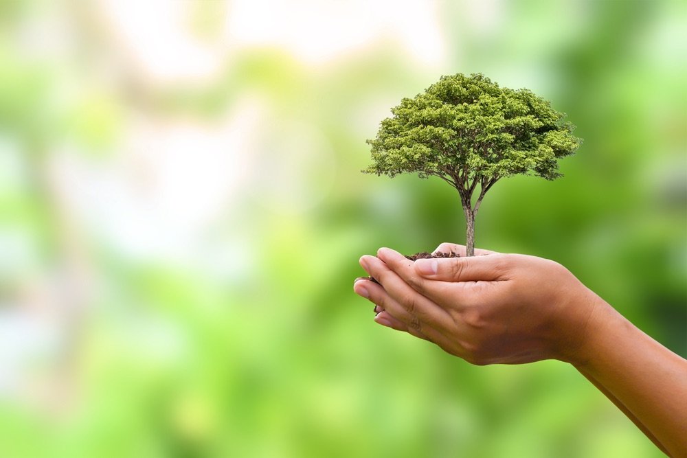 AmbiRisk Environmental Consultancy UAE