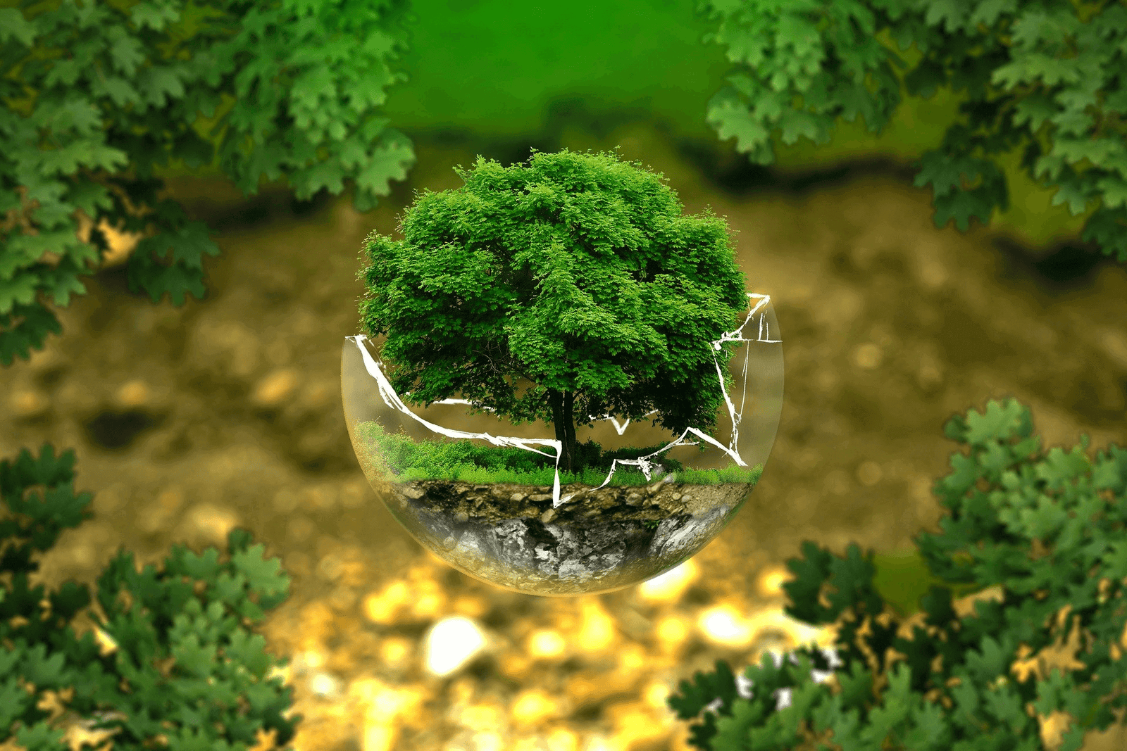 AmbiRisk Environmental Consultancy UAE