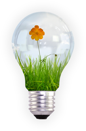 AmbiRisk Consultancy Services