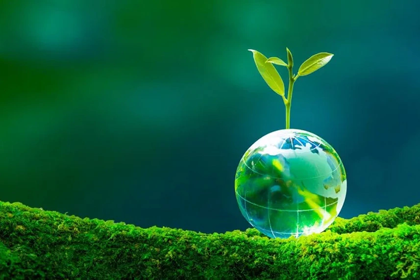 AmbiRisk Environmental Consultancy